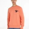Tommy Hilfiger College, HILFIGER PAINTED GRAPHIC CREW Persikka